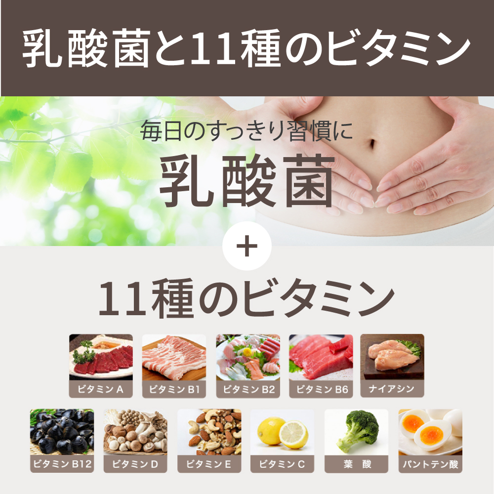 ザプロ ソイプロテイン 商品詳細・乳酸菌・ビタミン配合